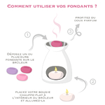 Notice utilisation des fondants