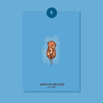 mockup-loutre-numero-61