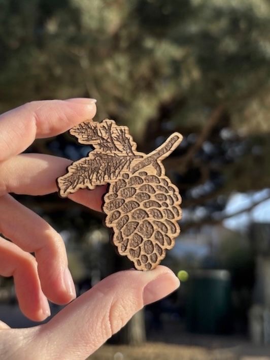 Magnet pigne