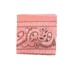 CORAIL