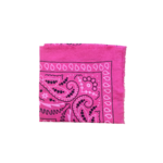 FUSHIA 1