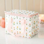 Lunch box (1)
