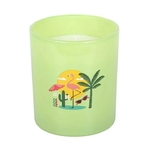 bougie palm 4