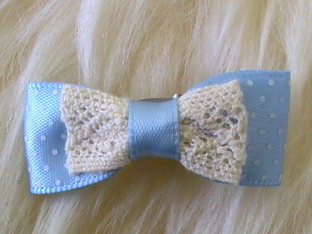 barrette-bleu-et-dentelle-pour-chien