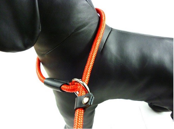 laisse-chien-de-dressage-rouge