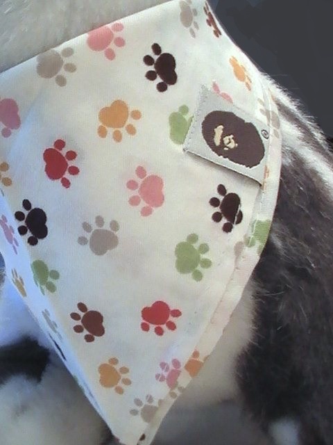 bandana-chien-d11-2