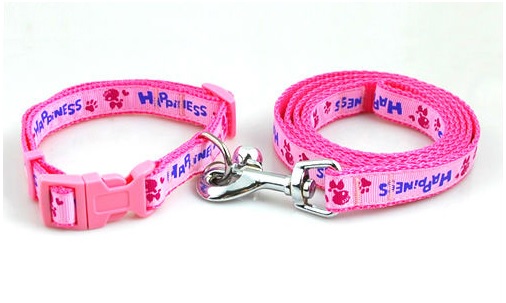 collier-et-laisse-pour-chien-rose