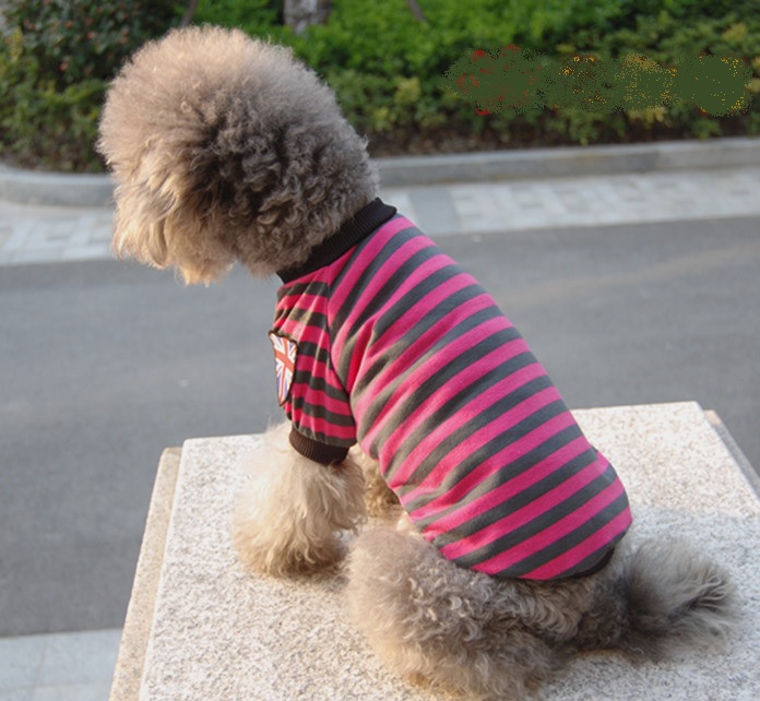 t-shirt-pour-chien-london-rose-2