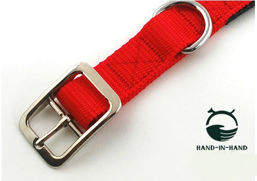 laisse-pour-chien-en-nylon-rouge