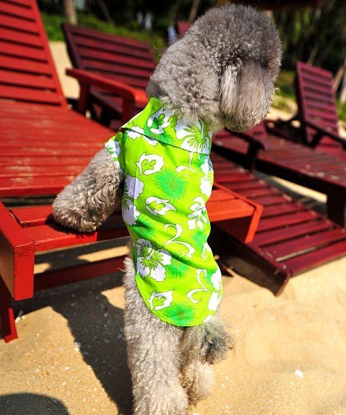 chemise-hawaienne-pour-chien-verte-1
