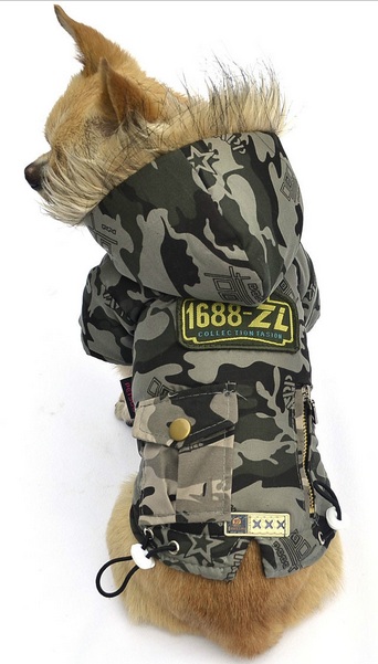 manteau camouflage chien