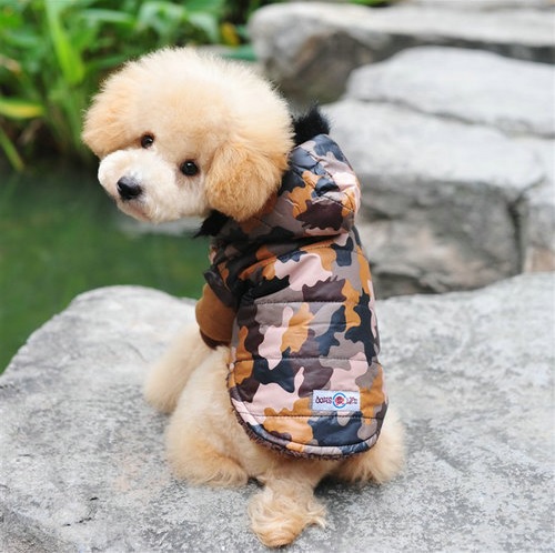 manteau-doudoune-camouflage-pour-chien