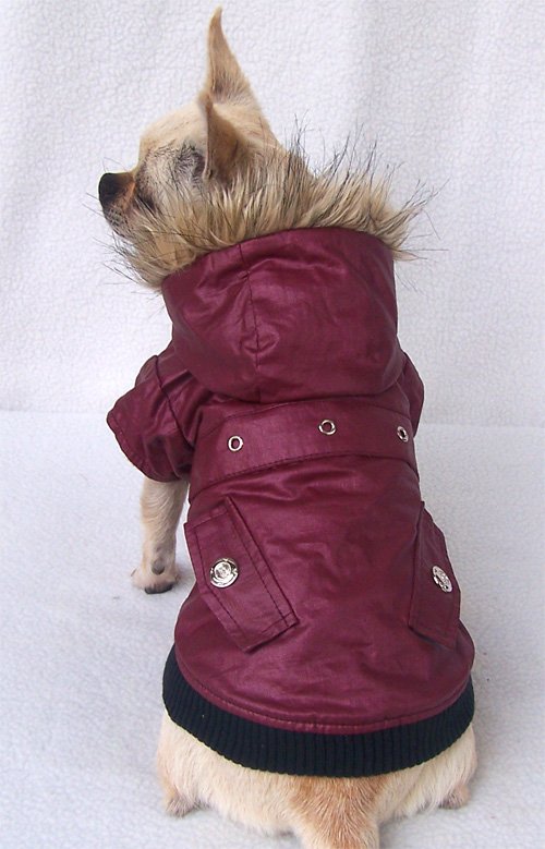 manteau-bordeaux-pour-chien