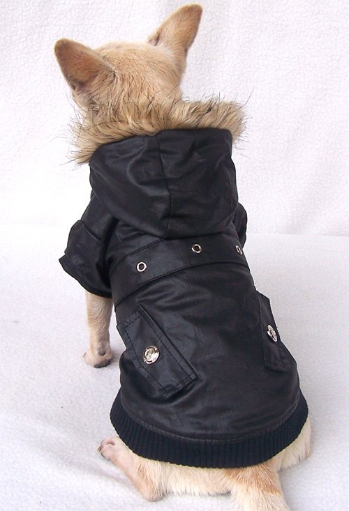 impermeable-pour-chihuahua-noir