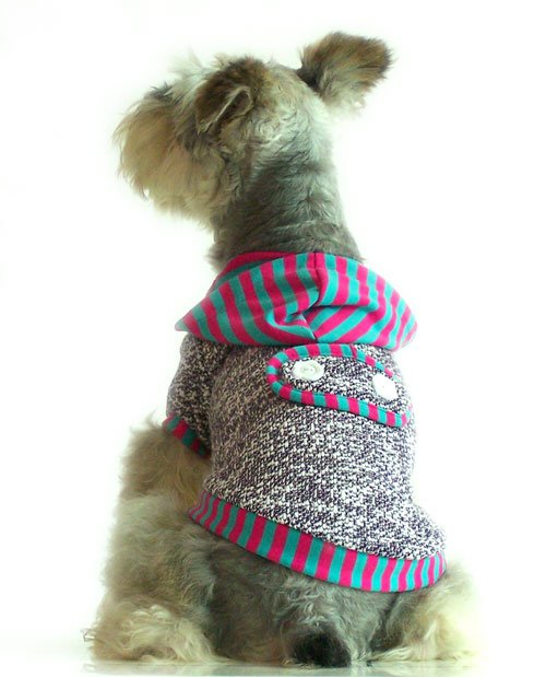 pull-pour-chien-a-martingale-mauve