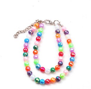 collier-de-perles-multicolores-pour-caniche