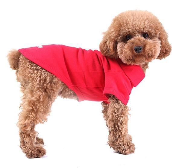 polo-rouge-pour-chien