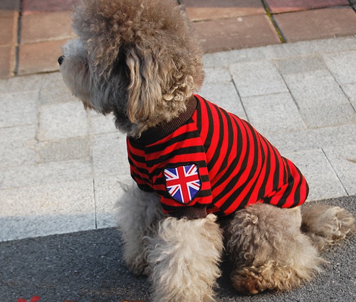 t-shirt-pour-chien-london-rouge-3