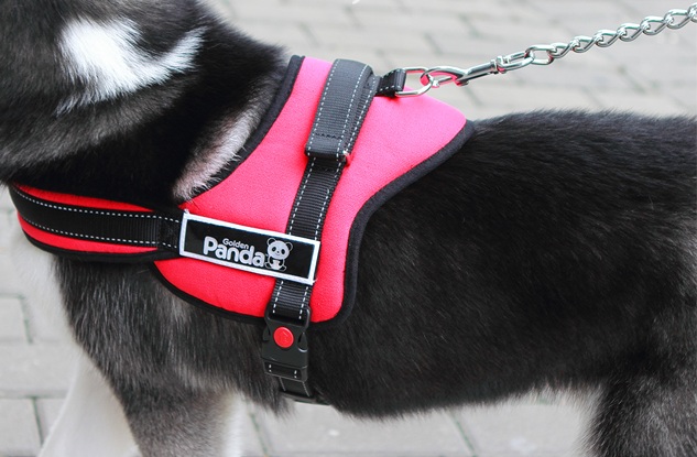 Dogs&Co harnais de voiture Rouge avec ceinture de sécurité Taille XL -  Harnais pour