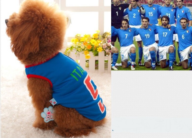 t-shit-de-foot-pour-chien-italie