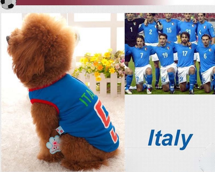 t-shit-de-foot-pour-chien-italie3