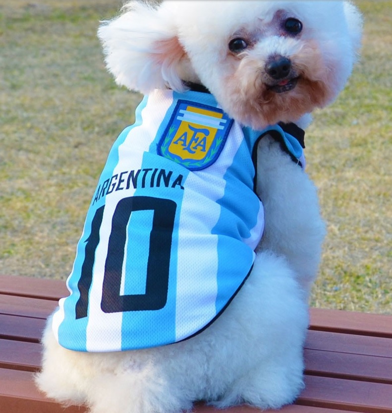 t-shirt-de-foot-pour-chien-argentine2.jpeg