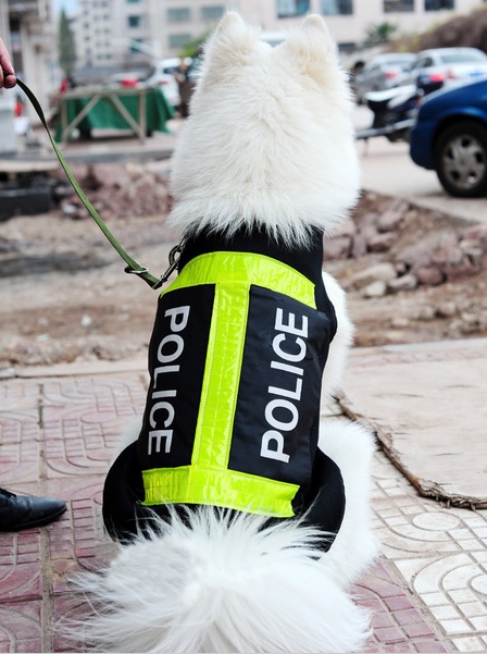 gilet de securite police pour chien1