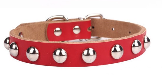 collier pour chien rouge à rivets