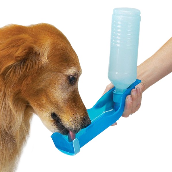 gourde a eau bleue pour chien