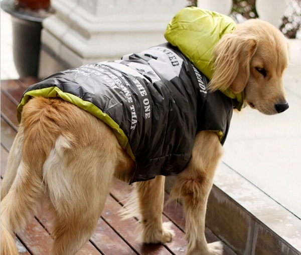 doudoune-verte-pour-chien