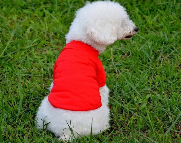 t-shirt pour chien rouge 1