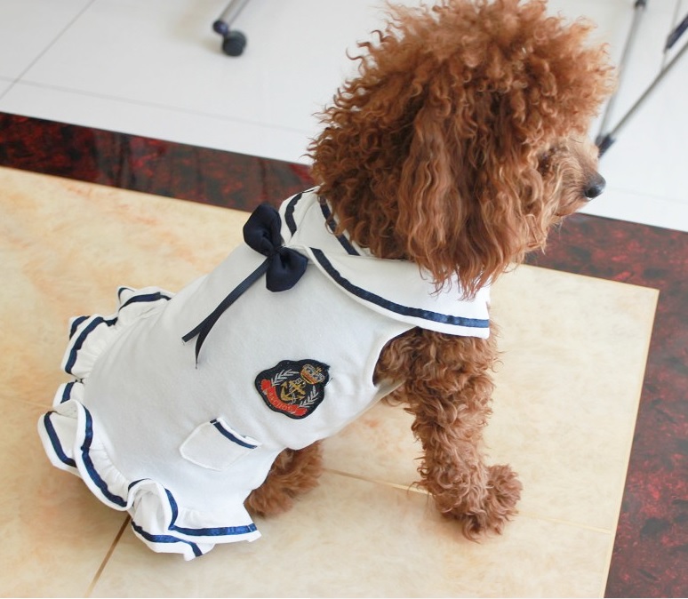 robe marin pour chien
