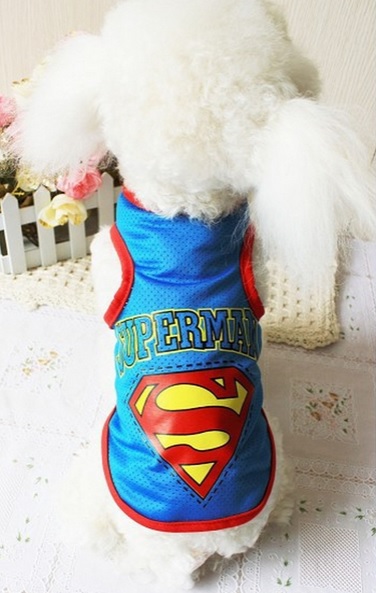t-shirt-pour-chien-superman-bleu-dos1