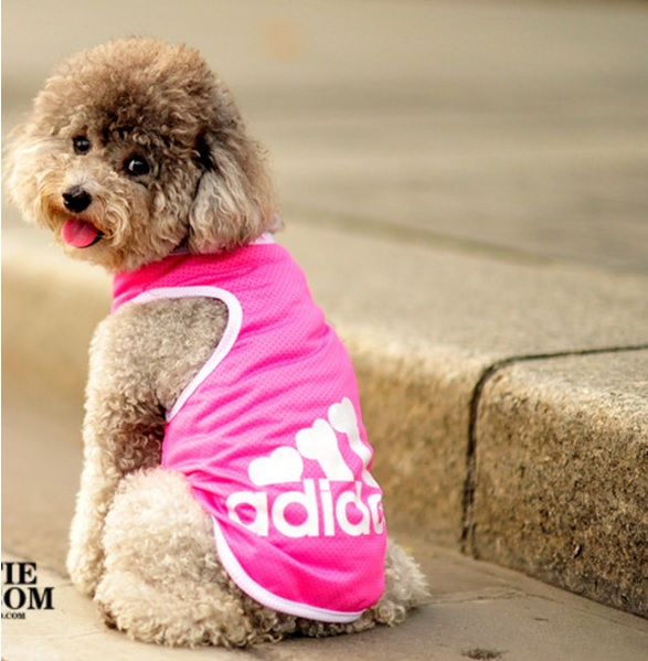 t-shirt adidog rose pour chien