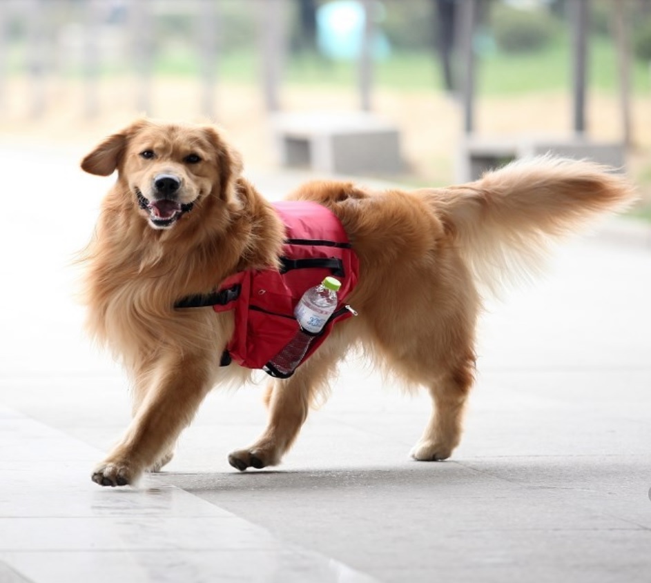 sac a dos rouge pour chien