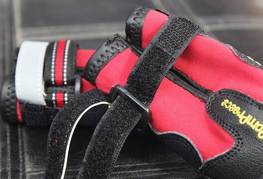 chaussure de sport rouge pour chien detail 1