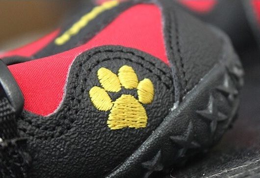 chaussure de sport rouge pour chien profil