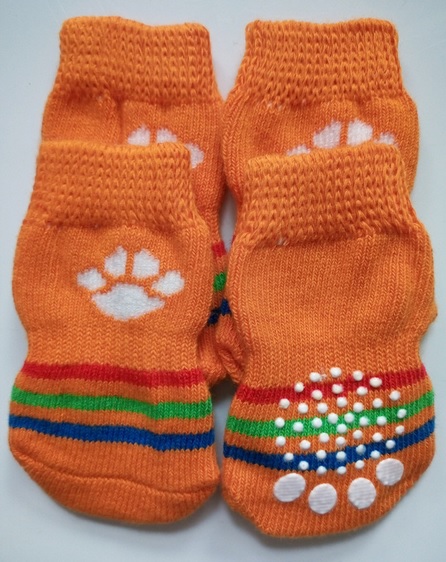 chaussette orange pour chien