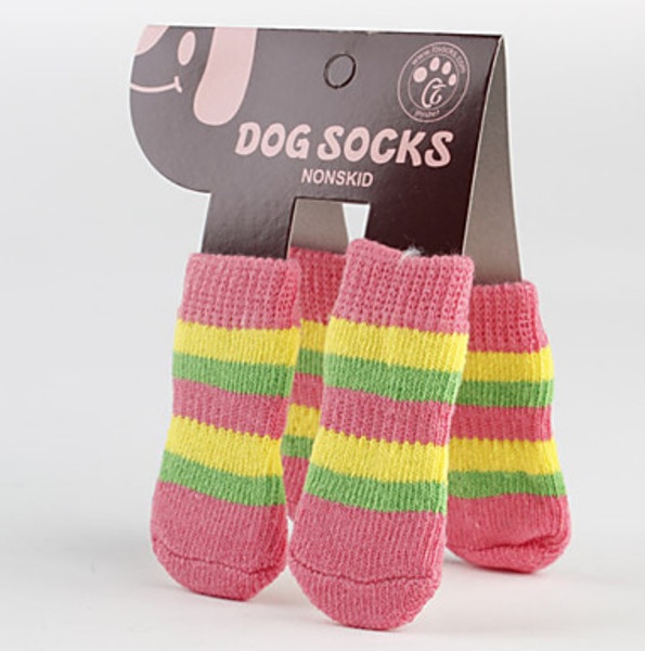 chaussette tricolore pour chien