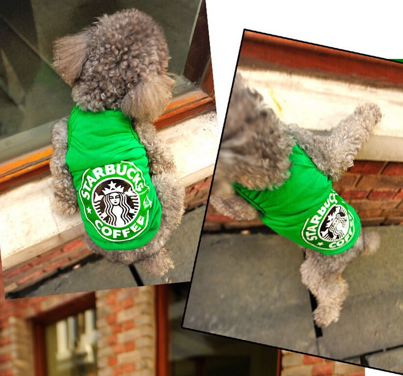 t-shirt coffee vert pour chien 4