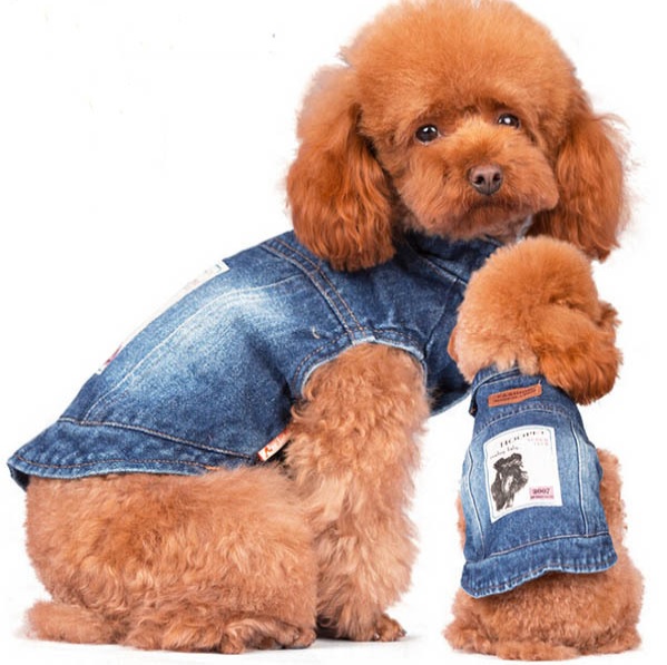 manteau veste en jean hoopet pour chien