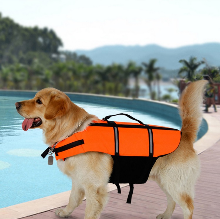 Gilet de sauvetage pour chien - Bouée orange pour chien