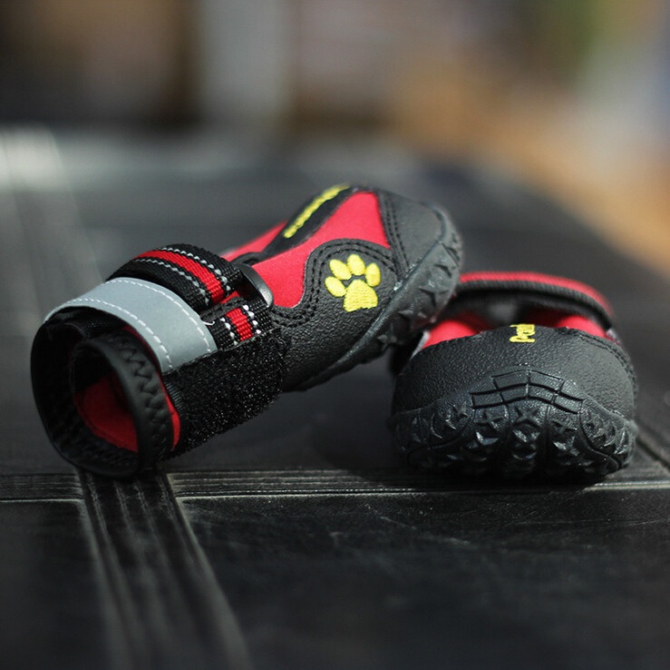 chaussure de sport pour chien rouge 5