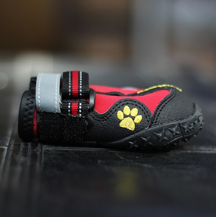 chaussure de sport pour chien rouge 65