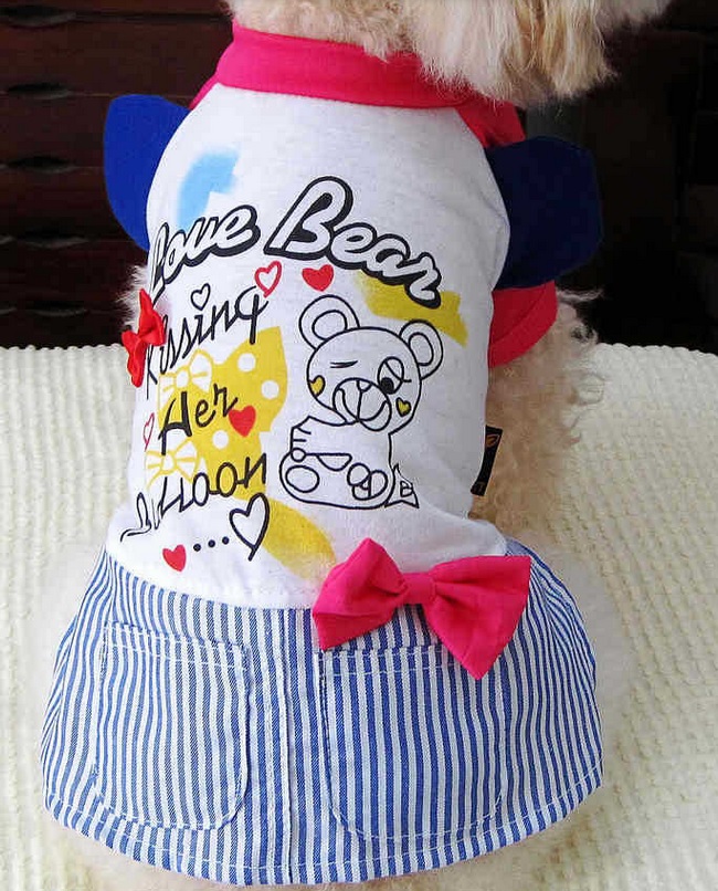 robe love bear pour chien 8