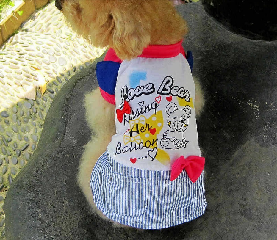 robe love bear pour chien 11