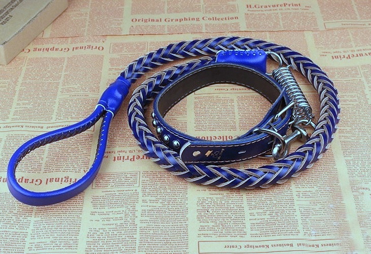 laisse et collier bleu pour chien avec ressort