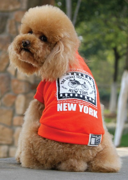 manteau dobaz rouge new york pour chien