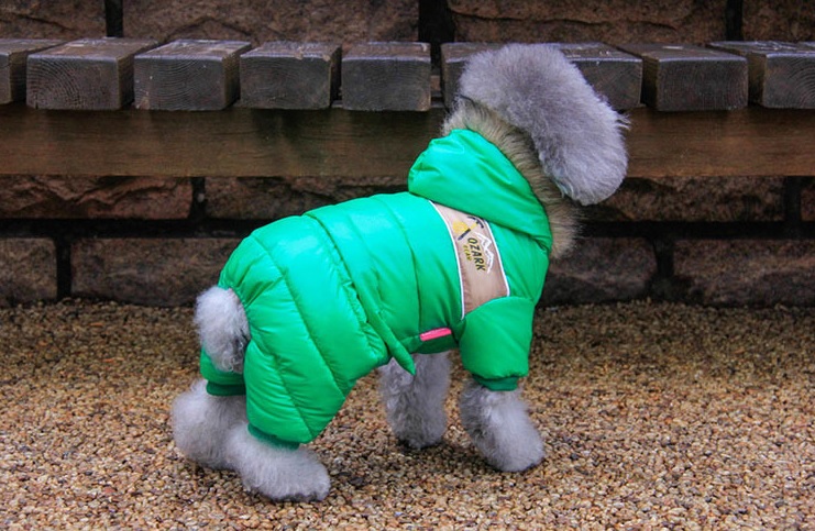 manteau combinaison de ski verte pour chien 3