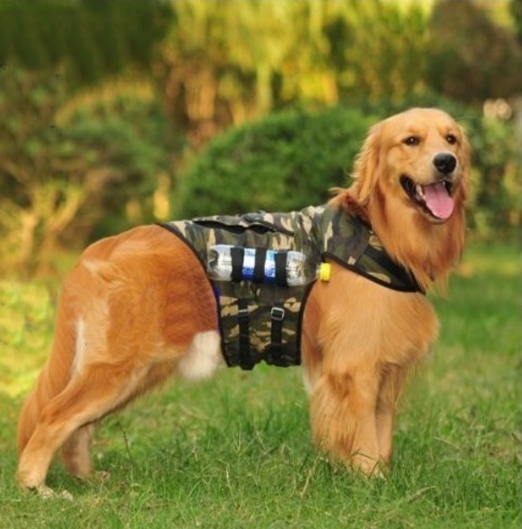Laisse pour chien : Camouflage militaire